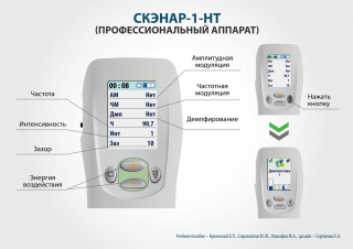 СКЭНАР-1-НТ (исполнение 01)  в Котельниках купить Медицинский интернет магазин - denaskardio.ru 